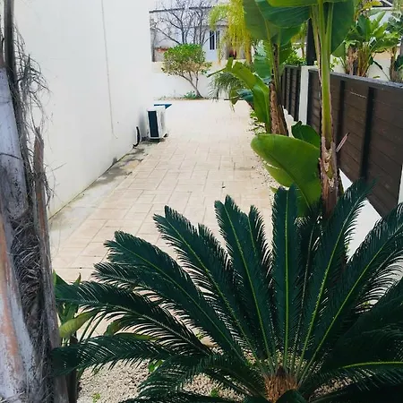 Menelaos ... * Paralimni